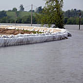 DefenCell in use
