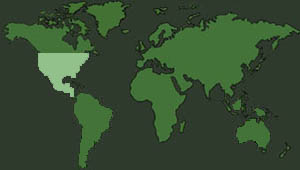 Please Select Your Region
